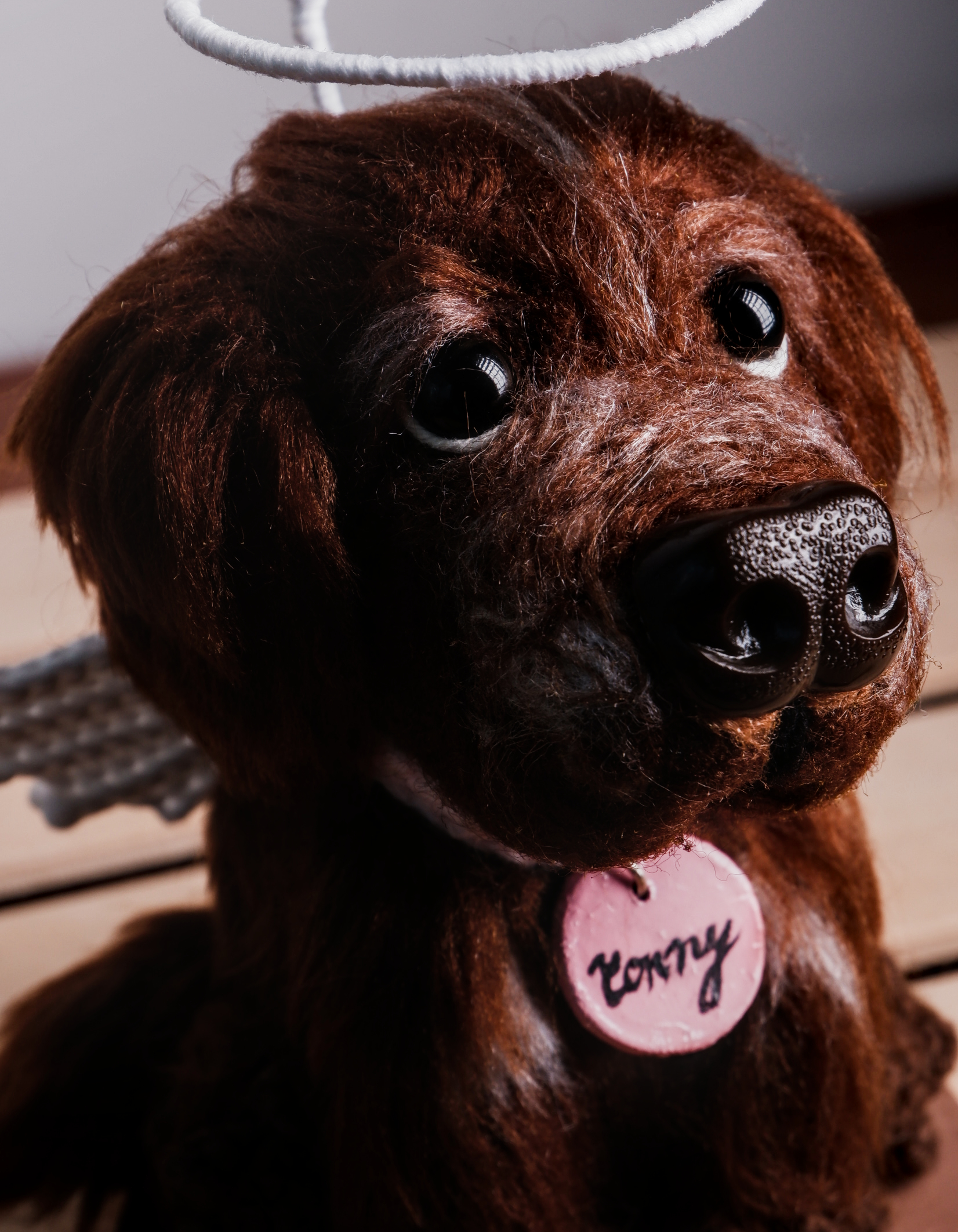 Héroes con Patas - Imagen 2